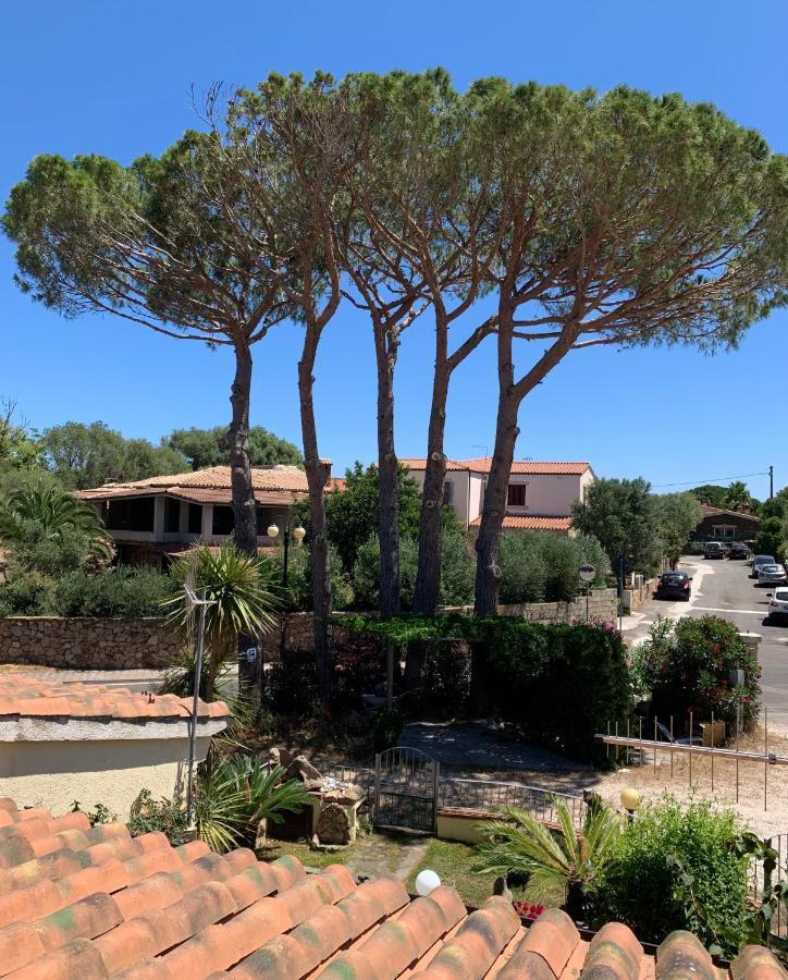 Bed and Breakfast Brezza Di Mare Сан-Теодоро Экстерьер фото